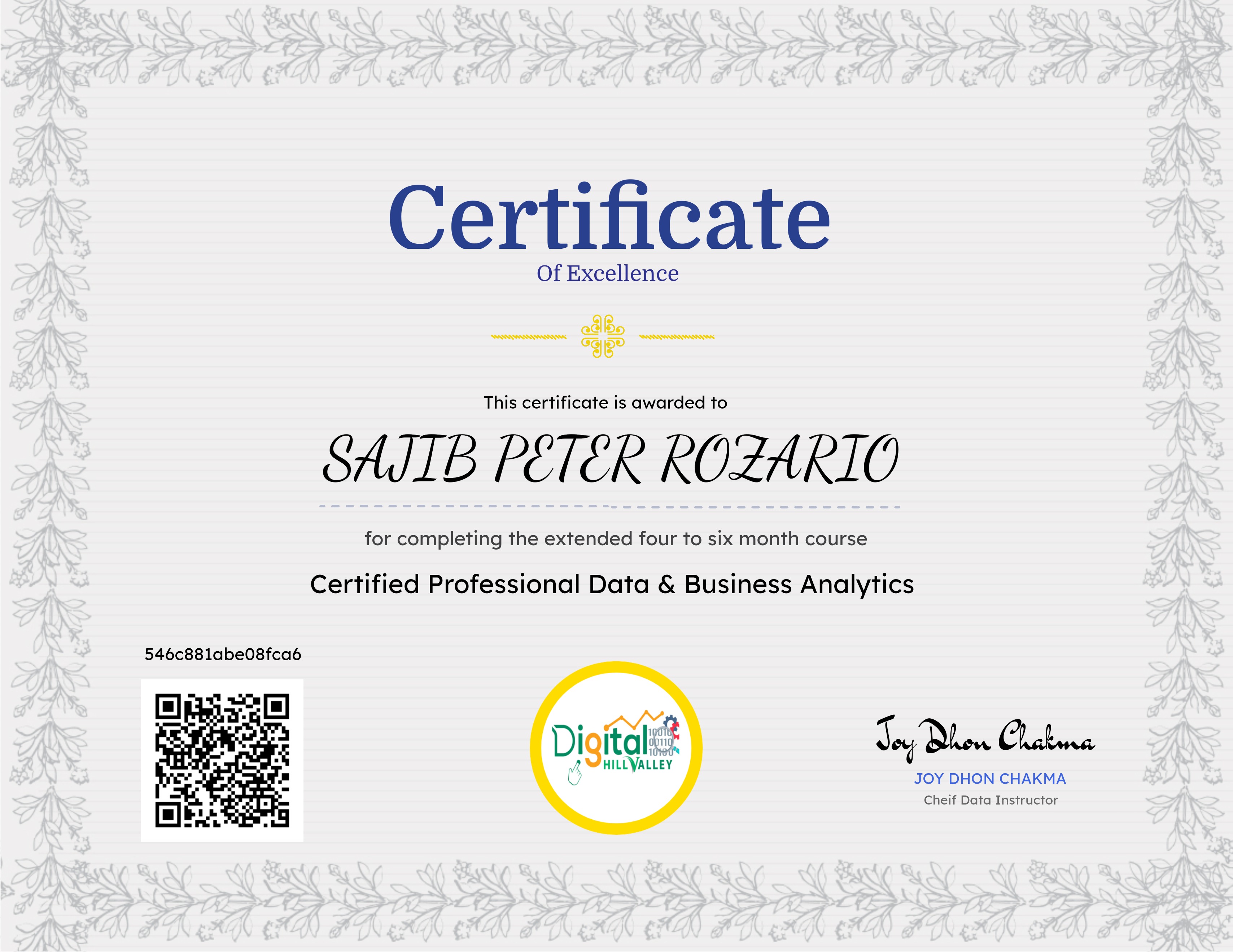 Certified Professional Data & Business Analytics